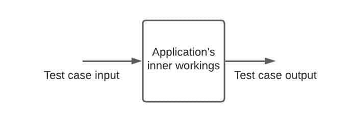 Performing white box testing by providing test inputs and assessing outputs